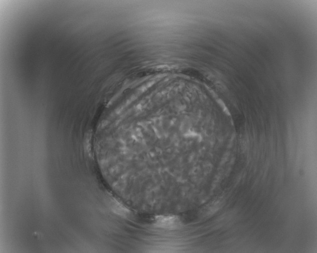 X0000066930185200604071856