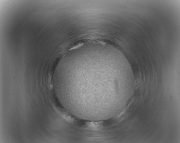 X0000066930187200604071856