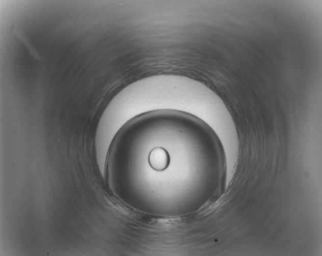 X0000066930188200604071856