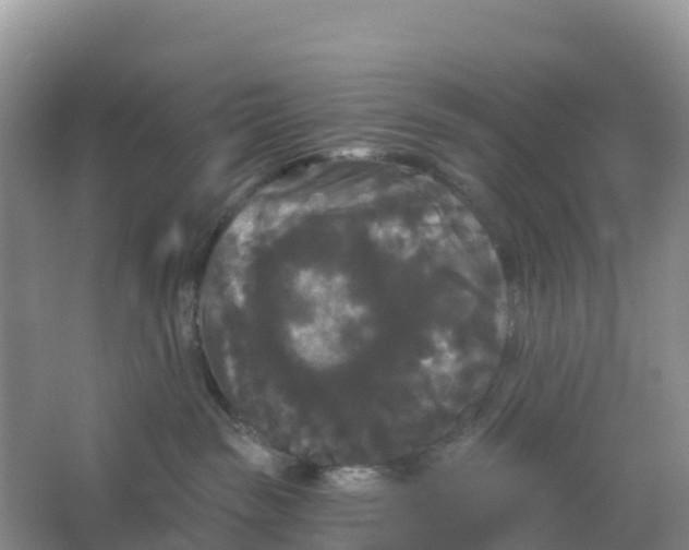 X0000066930189200604071856