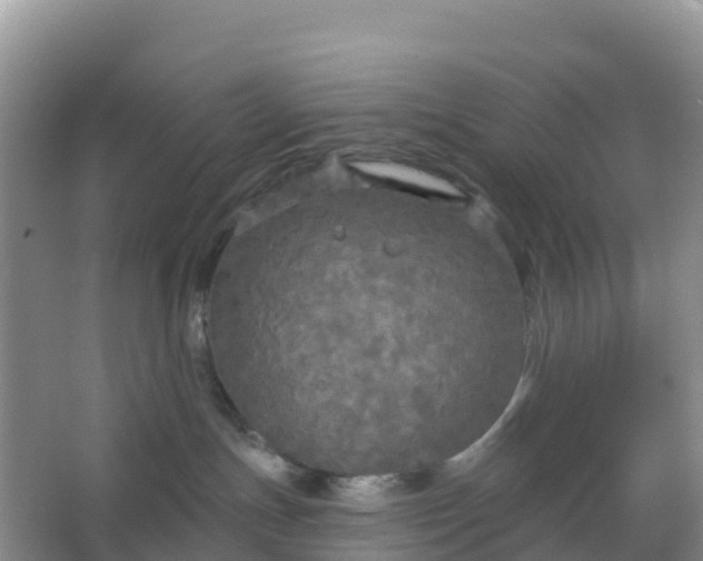 X0000066930191200604071856