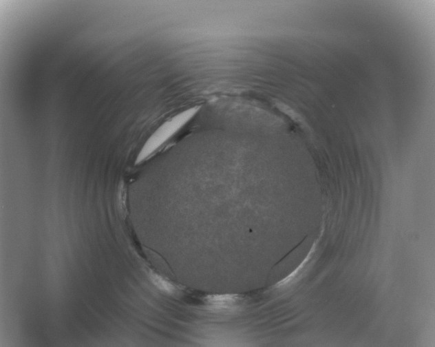 X0000066930192200604071856