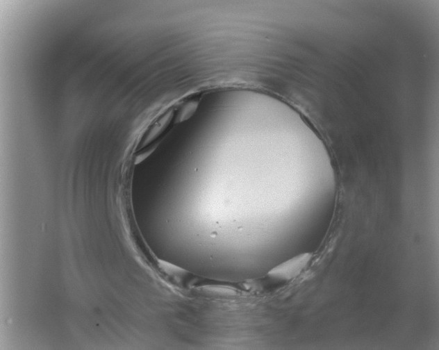 X0000066930193200604071855