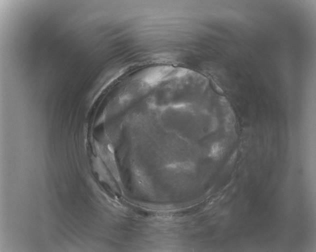 X0000066930194200604071855