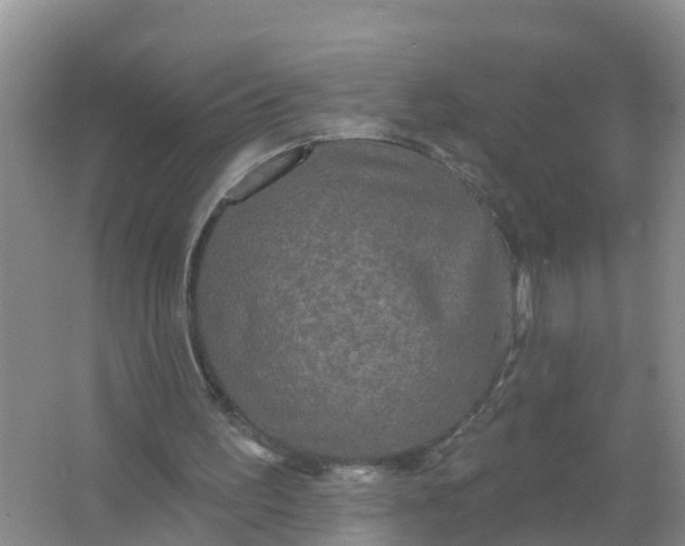 X0000066930195200604071855