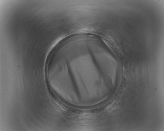 X0000066930196200604071855