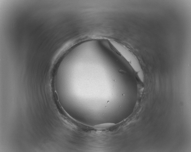 X0000066930197200604071855