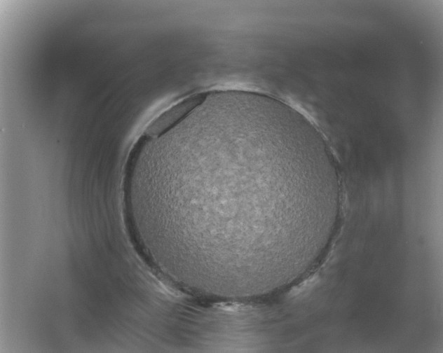 X0000066930199200604071855