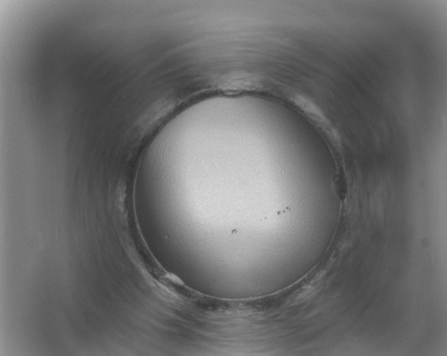 X0000066930201200604071855