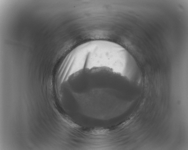 X0000066930202200604071855