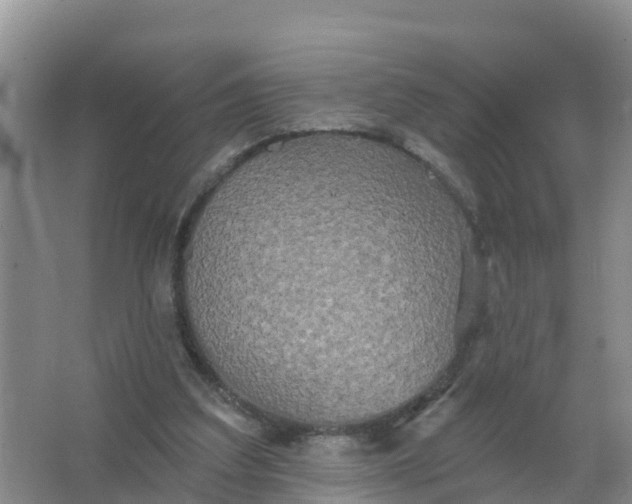 X0000066930203200604071855