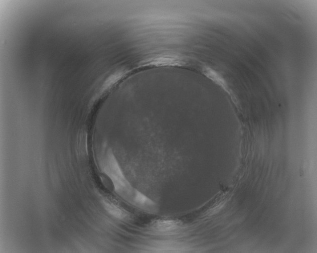 X0000066930205200604071855