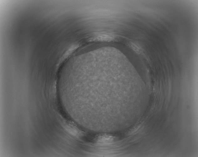 X0000066930206200604071855