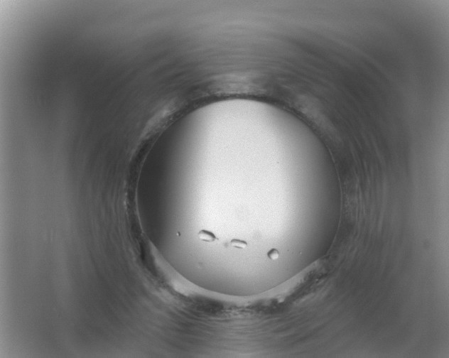 X0000066930207200604071855