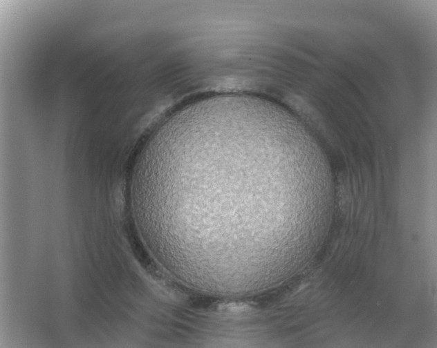 X0000066930208200604071855