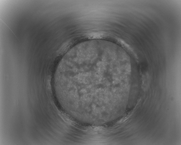 X0000066930209200604071855