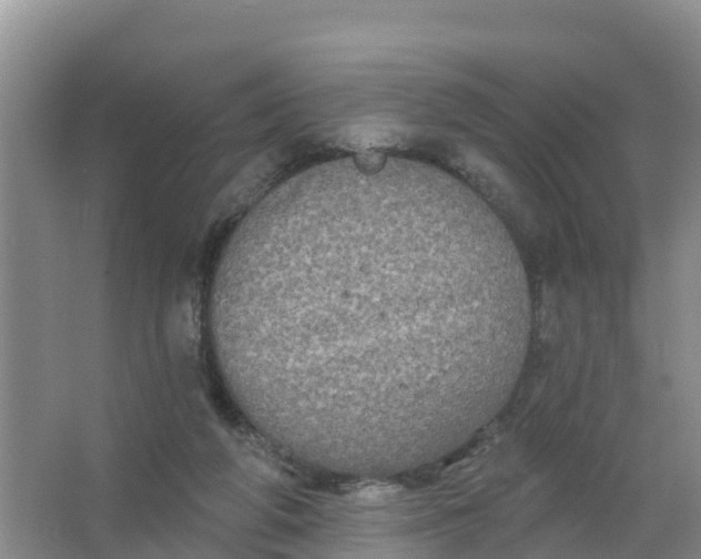 X0000066930210200604071855