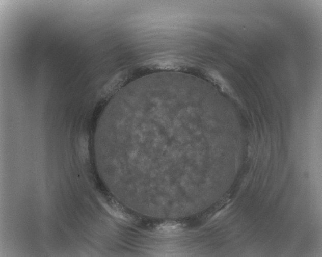 X0000066930213200604071855