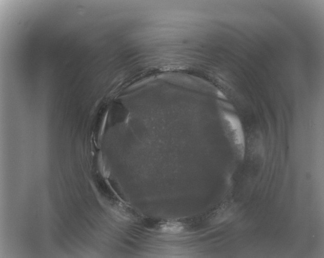 X0000066930214200604071855