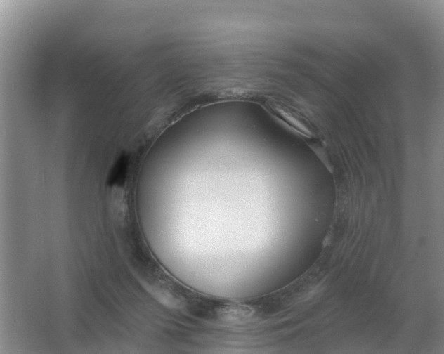 X0000066930215200604071855