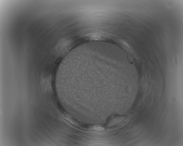 X0000066930217200604071855