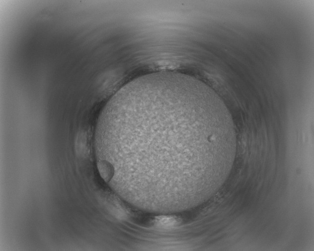 X0000066930218200604071855