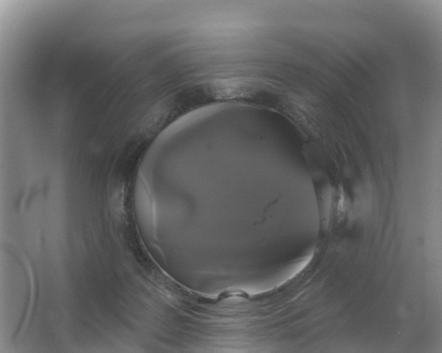 X0000066930219200604071855