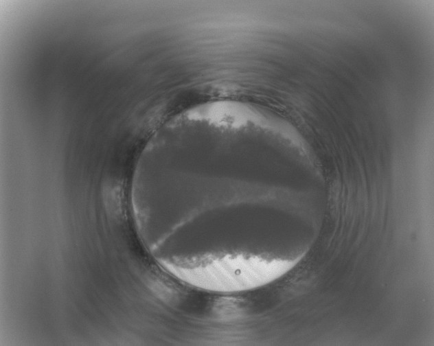 X0000066930222200604071854