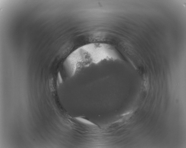 X0000066930224200604071854