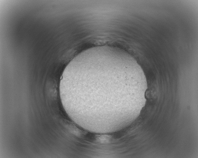 X0000066930226200604071854