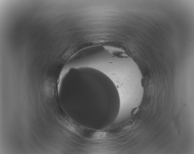 X0000066930227200604071854