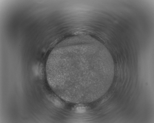 X0000066930228200604071854