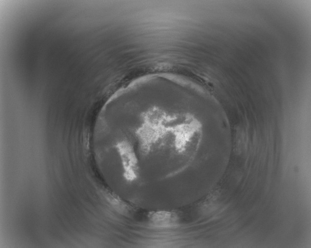 X0000066930230200604071854