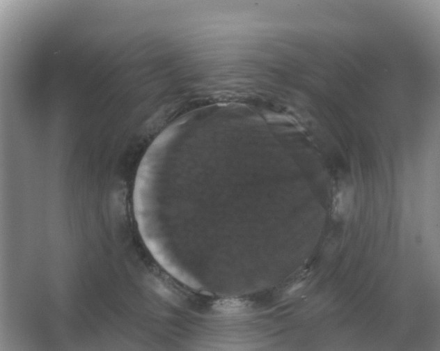 X0000066930231200604071854