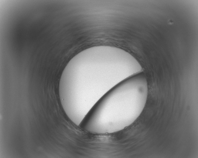 X0000066930233200604071854