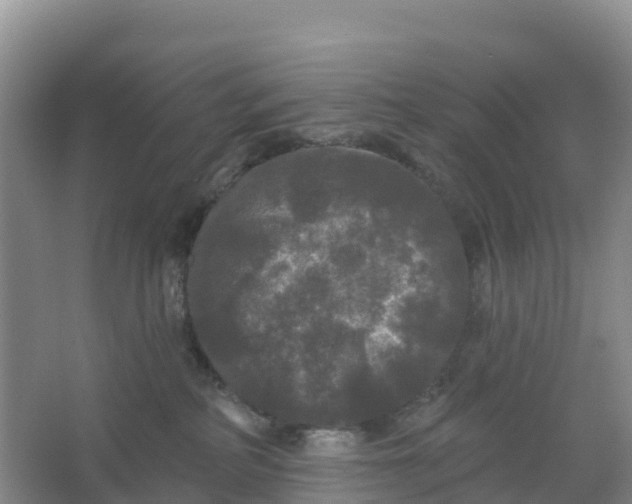 X0000066930234200604071854