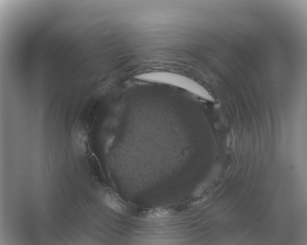 X0000066930235200604071854