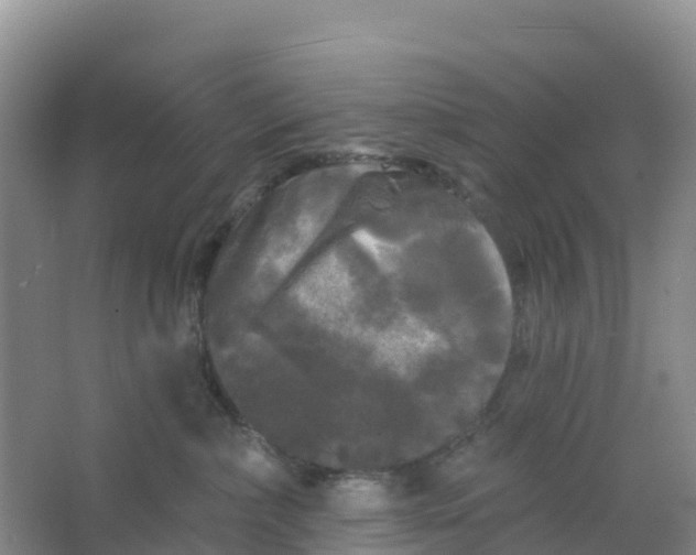 X0000066930236200604071854