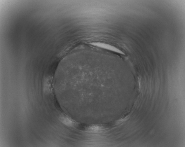 X0000066930237200604071854