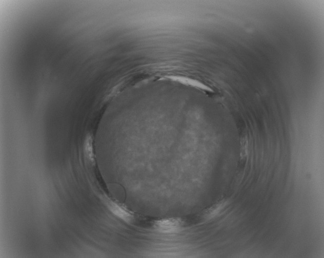 X0000066930238200604071854