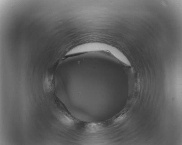 X0000066930239200604071854