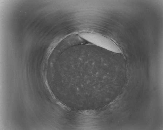 X0000066930241200604071853