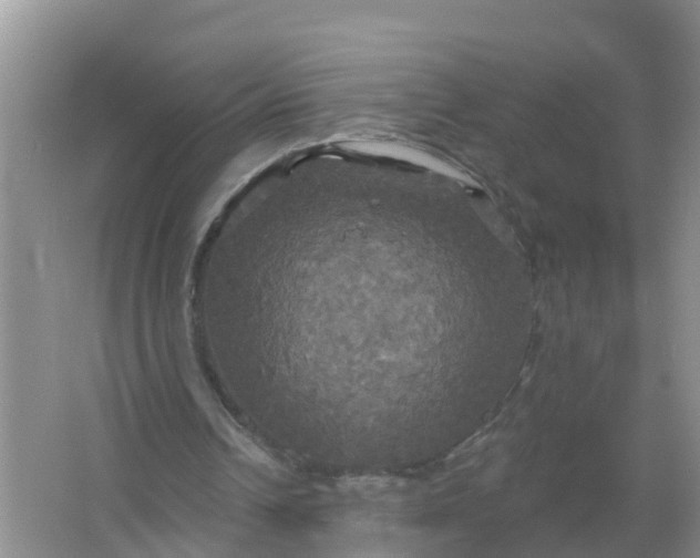 X0000066930242200604071853