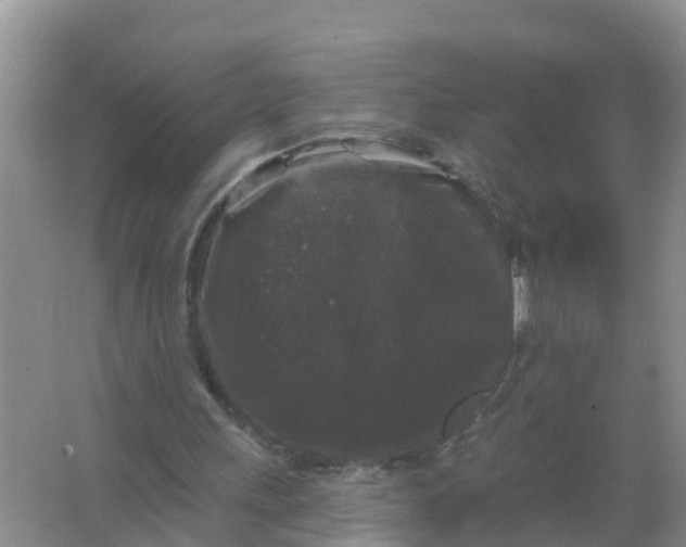 X0000066930243200604071853