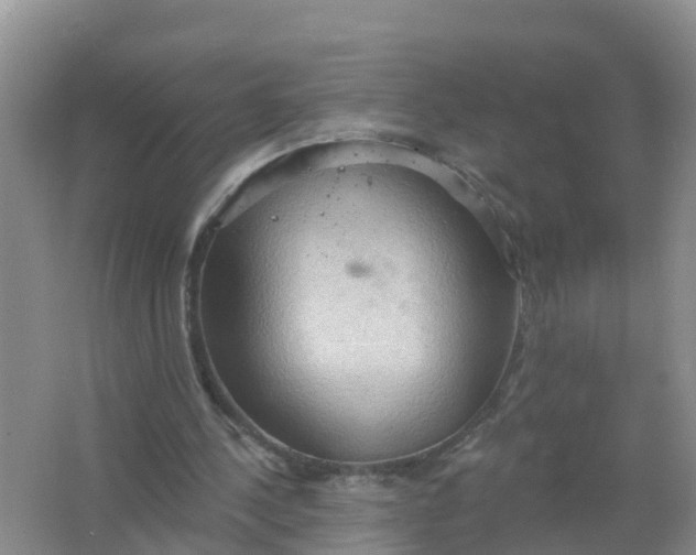 X0000066930244200604071853