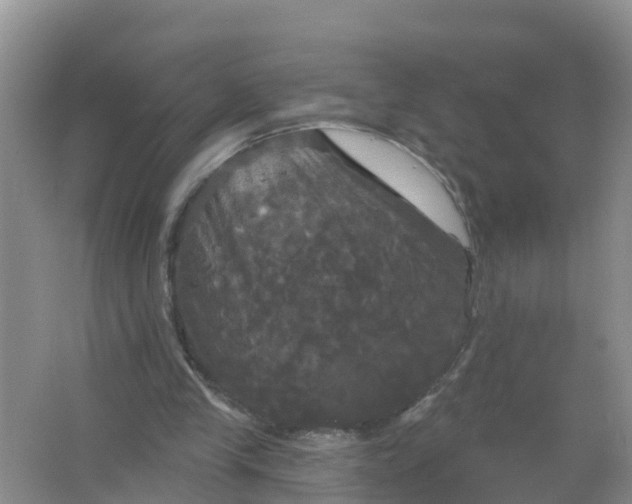 X0000066930245200604071853