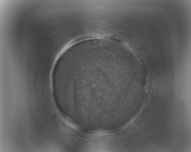 X0000066930246200604071853