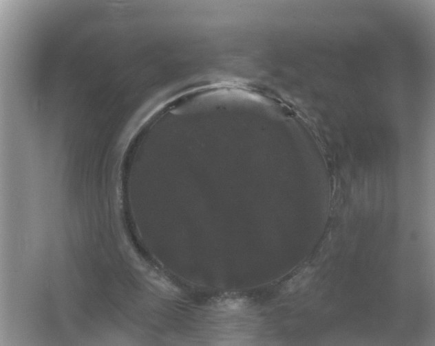 X0000066930247200604071853