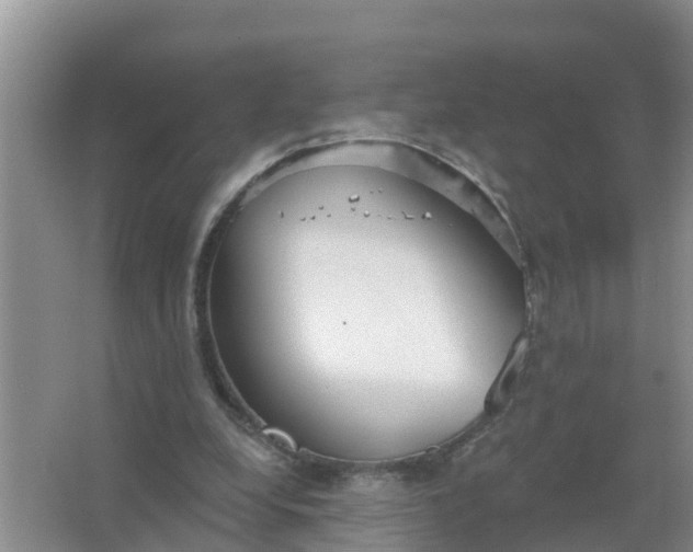 X0000066930248200604071853