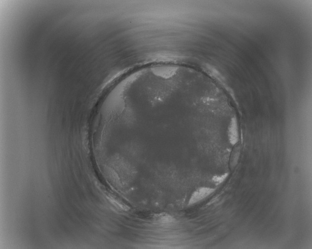 X0000066930249200604071854